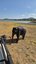 Elefantensichtung aus Safariauto - Sri Lanka for family individuell - Sri Lanka mit Kindern individuell