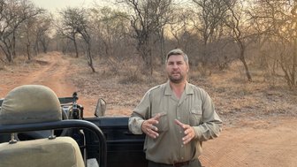 Ranger erklärt einer Familie in der Savanne des Makutsi Game Reserve die Tierwelt – Südafrika Familienreise
