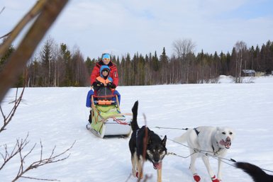 Ein fröhliches Kind und ein Erwachsener fahren in einem Schlitten, gezogen von zwei Hunden, durch eine verschneite Landschaft.