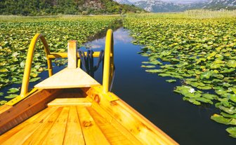 Ein Holzboot fährt durch einen ruhigen Wasserweg, umgeben von üppigen Seerosen und sanften Hügeln im Hintergrund.