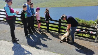 Eine Gruppe von Menschen beobachtet einen Mann, der ein Schaf auf einem Bauernhof in Irland hält, während der See im Hintergrund glitzert.