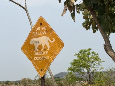 Ein abgenutztes Warnschild weist Autofahrer darauf hin, langsam zu fahren, da Wildtiere die Straße überqueren könnten.