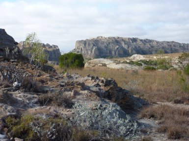 Eine weite Landschaft mit zerklüfteten Felsen und sanften Hügeln, die von spärlicher Vegetation umgeben sind.