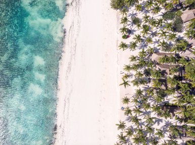 Ein atemberaubender Blick auf den weißen Sandstrand, umgeben von üppigen Palmen und klarem, türkisfarbenem Wasser.