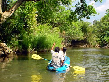 Zwei Personen im Kajak paddeln auf einem ruhigen Fluss, umgeben von üppigem, grünem Dschungel und strahlendem Sonnenlicht.