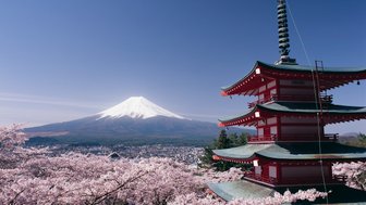 Der Fuji erhebt sich majestätisch hinter der roten Chureito-Pagode, umgeben von blühenden Kirschbäumen.