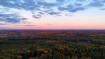 Ein atemberaubender Sonnenuntergang über dem Gauja Nationalpark, mit leuchtenden Farben und einer weiten Waldlandschaft.