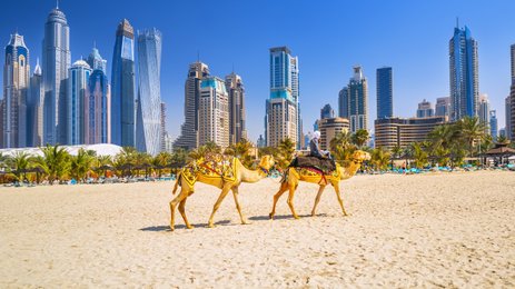 Blick auf Dubai Skyline mit Kamelen - Dubai mit Kindern