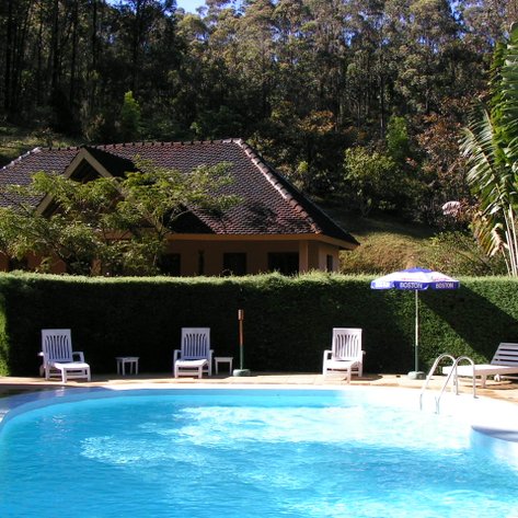 Ein einladender Pool umgeben von üppigem Grün und einem charmanten Holzhaus im Hintergrund, ideal für Entspannung.