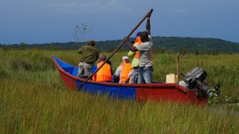 Eine Gruppe von Menschen in einem bunten Boot paddelt durch hohes Gras in einer ruhigen, grünen Landschaft.