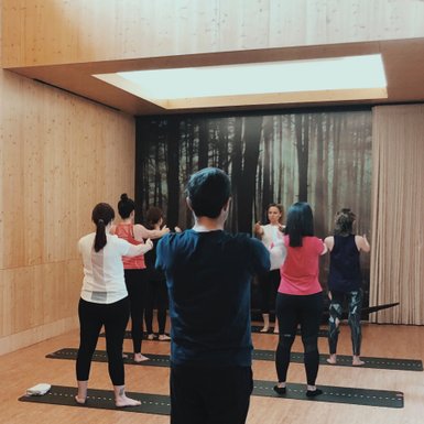 Eine Gruppe von Menschen praktiziert Yoga in einem hellen Raum mit Holzverkleidung und einem Waldmotiv im Hintergrund.