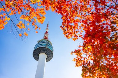 Der Namsan-Turm ragt majestätisch in den blauen Himmel, umgeben von leuchtend roten und orangefarbenen Herbstblättern.