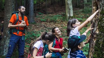 Eine Gruppe von Kindern und Erwachsenen erkundet den Wald, während sie an einem Baum mit einer Höhle interessiert sind.