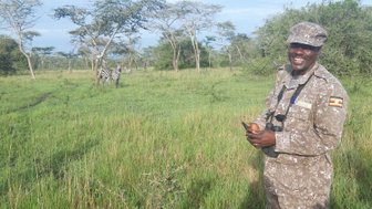 Ein lächelnder Ranger steht in der grünen Savanne, während Zebras im Hintergrund zwischen den Bäumen grasen.