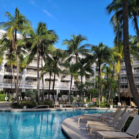 Ein einladender Poolbereich umgeben von Palmen und einem eleganten Hotel, ideal für entspannende Tage in Florida.