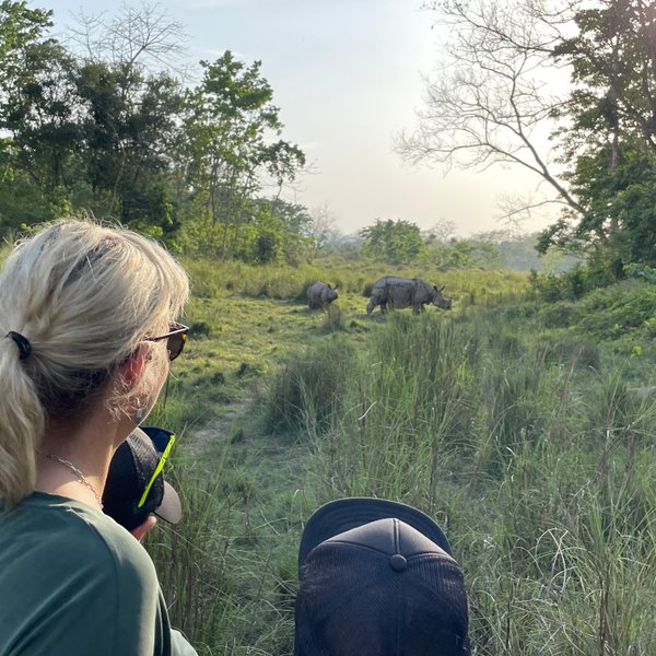 Eine Person mit blonden Haaren beobachtet zwei Nashörner in der Wildnis des Chitwan-Nationalparks in Nepal.