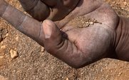 Eine schmutzige Hand hält feinen Sand und kleine Insekten, während der Boden aus braunem Erdreich besteht.