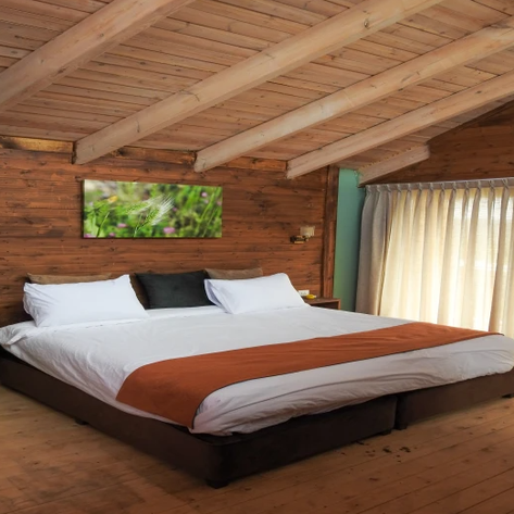 Doppelbett im Forest Reserve - Jordanien mit Kindern