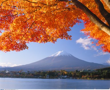Leuchtend orangefarbene Herbstblätter umrahmen den majestätischen Fuji-Berg, der im Hintergrund mit Schnee bedeckt ist.