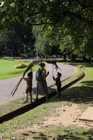 Mutter geht mit zwei Kindern durch den grünen Botanischen Garten in Peradeniya – Sri Lanka mit Kindern
