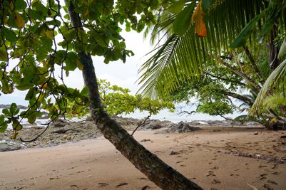 Strand mit Felsen im Corcovado-Nationalpark – Costa Rica Familienreise