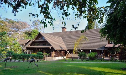 Ein charmantes Holzhaus mit einem schrägen Dach, umgeben von üppigem Grün und bunten Pflanzen im Freien.
