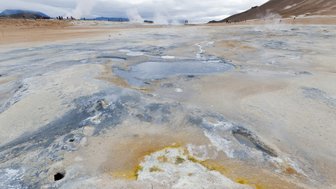 Eine weite, dampfende Landschaft mit bunten mineralischen Ablagerungen und einem grauen Himmel über dem Myvatn-Gebiet.