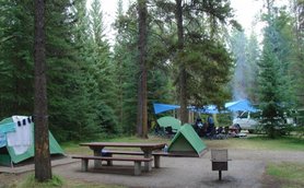 Ein Campingplatz im Wald mit grünen Zelten, einem Picknicktisch und blauen Planen, umgeben von hohen Bäumen.