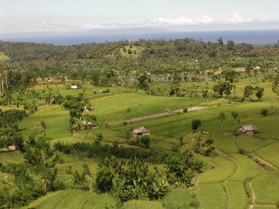 Grüne Reisfelder aus der Vogelperspektive in Amed – Bali Familienreise