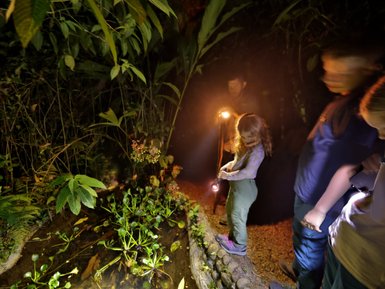 Gruppe auf Nachtwanderung mit Taschenlampen in La Tigra – Costa Rica mit Kindern