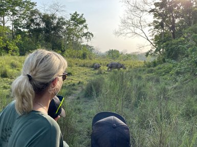 Eine Person mit blonden Haaren beobachtet zwei Nashörner in der Wildnis des Chitwan-Nationalparks in Nepal.