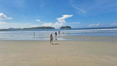 Ein sonniger Strand mit sanften Wellen, wo Menschen in Strandkleidung entspannt spazieren und einige Hunde spielen.