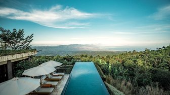 Grünen Kaffeefelder der Munduk Moding Plantation – Bali Reise mit Kindern