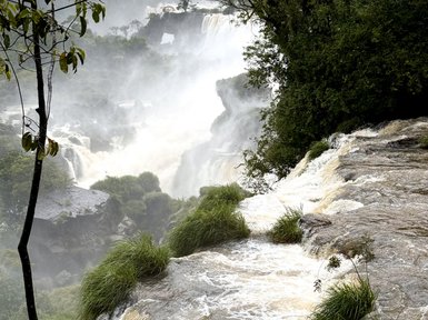 Der atemberaubende Anblick der Iguazú-Wasserfälle, umgeben von dichten Bäumen und einem Nebel aus Wassertröpfchen.