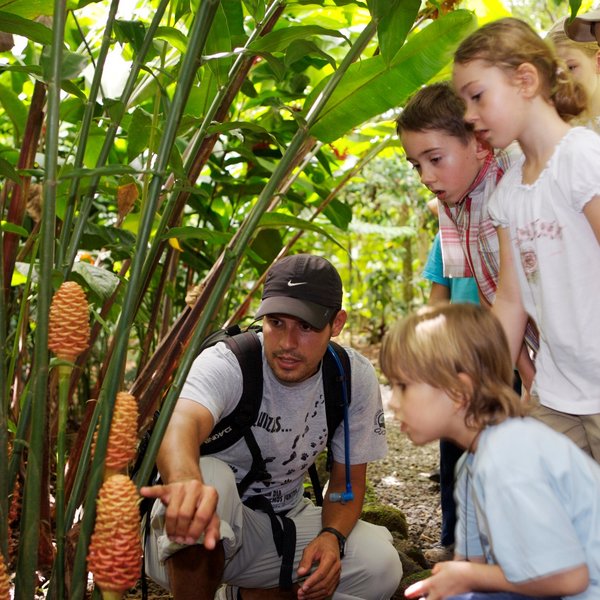 Kinder lernen vom Guide spannende Fakten über die Fauna – Costa Rica Familienreise
