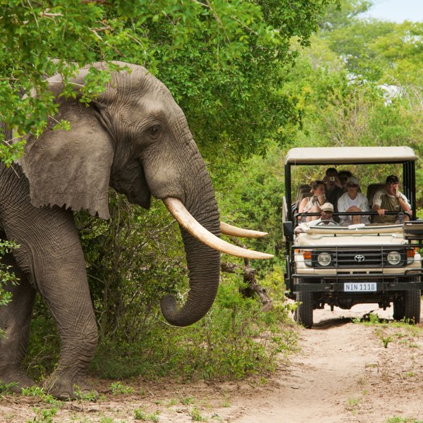 Familie sitzt im Safari-Jeep und entdeckt einen großen Elefanten im Kruger Nationalpark – Südafrika Reise mit Kindern