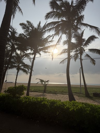 Palmen stehen majestätisch am Strand, während die Sonne sanft hinter den Wolken aufgeht und das Wasser glitzert.