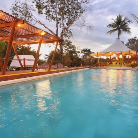 Ein einladender Pool mit klarem Wasser, umgeben von Palmen und einer gemütlichen Terrasse im Hintergrund.