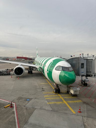Ein grünes Flugzeug steht am Flughafen, bereit für den Abflug, während Gepäckwagen in der Nähe positioniert sind.