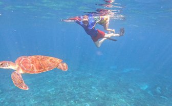 Unterwasseraufnahme einer Schildkröte beim Schnorcheln – Bali Familienreise