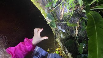 Familie entdeckt nachtaktive Tiere bei einer Wanderung im La Tirimbina Reservat – Costa Rica Familienreise