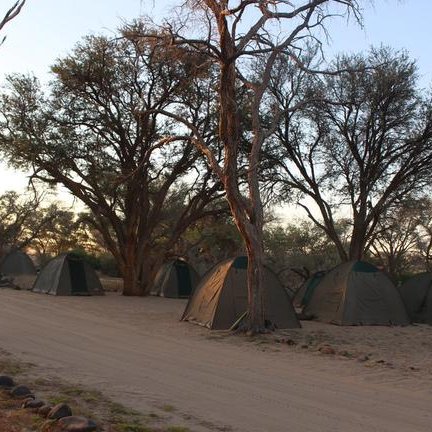Eine Gruppe von Zelten steht in einer ruhigen, sandigen Umgebung, umgeben von großen Bäumen und sanften Lichtverhältnissen.