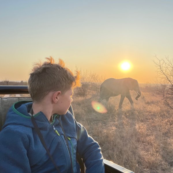 Kind sitzt im Safari-Jeep bei Sonnenuntergang und blickt auf einen Elefanten im Hintergrund – Südafrika Reise mit Kindern