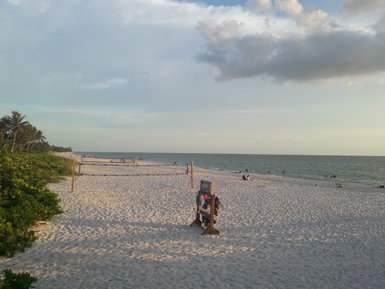 Ein ruhiger Strand mit feinem, weißem Sand, umgeben von Palmen und sanften Wellen, die an die Küste schlagen.