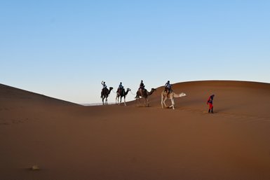 Familie erlebt gemeinsam ein Kameltrekking durch die Sandlandschaften der Sahara – Marokko mit Kindern
