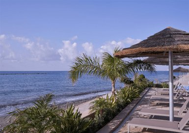Ein ruhiger Strand mit Palmen und Liegen, die zum Entspannen am Wasser einladen, unter einem klaren blauen Himmel.