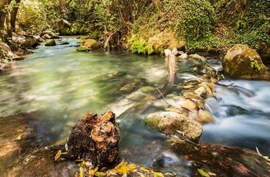Ein ruhiger Fluss fließt durch eine grüne Landschaft, umgeben von Bäumen und glatten Steinen, die im Wasser liegen.