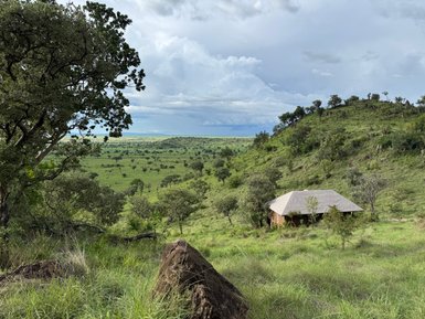 Blick auf die grüne Landschaft rund um ein Safaricamp – Tansania Reise mit Kindern