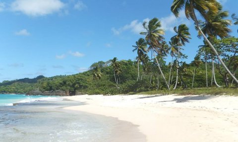 Ein malerischer Strand mit feinem, weißem Sand und sanften Wellen, umgeben von üppigen Palmen und grünem Hügel.