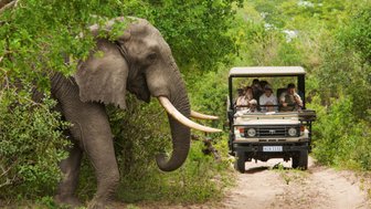 Familie sitzt im Safari-Jeep und entdeckt einen großen Elefanten im Kruger Nationalpark – Südafrika Reise mit Kindern